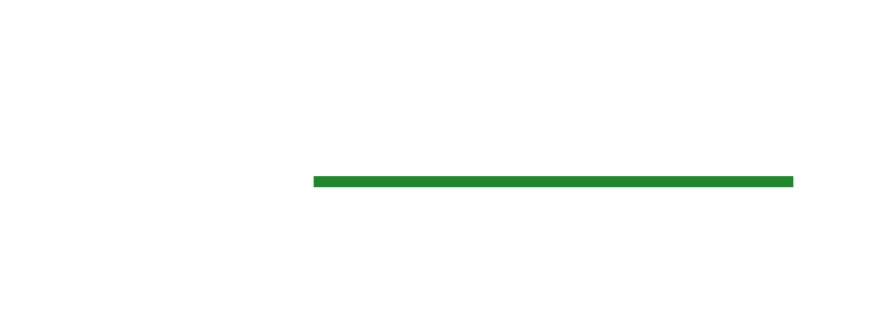 Maas Energy Logo